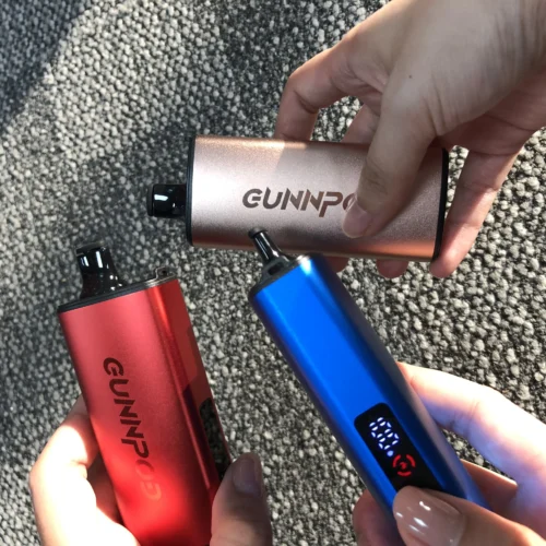 Gunnpod EVO Grape Ice 15000 photo review