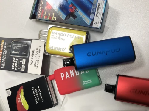 Gunnpod EVO Blueberry Ice 15000 photo review